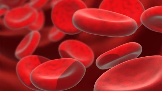 红枣、红糖不补血！真正补血的食物有这4种，别再花冤枉钱