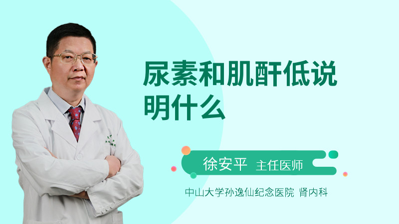 尿素和肌酐低说明什么