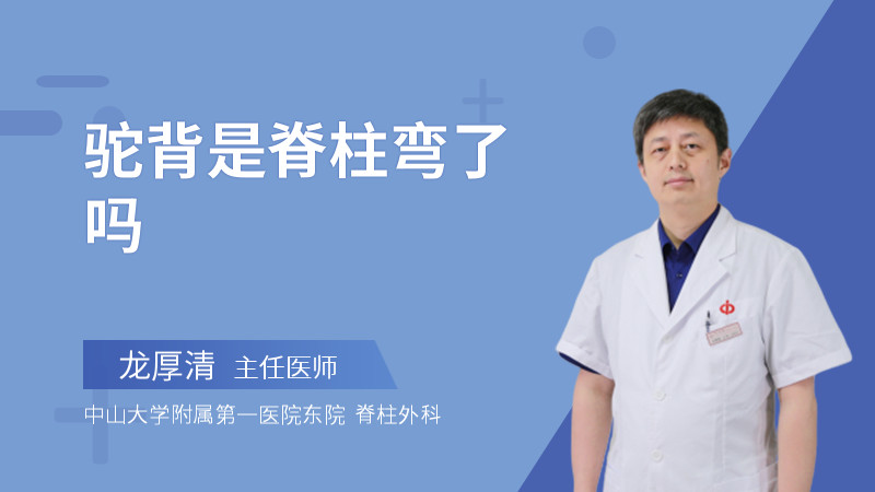 驼背是脊柱弯了吗