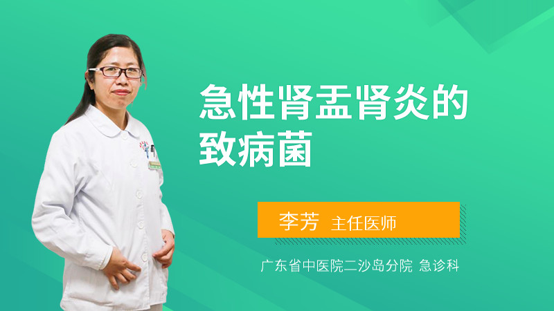 急性肾盂肾炎的致病菌