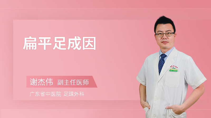 扁平足成因
