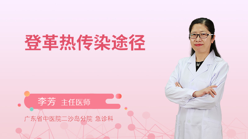 登革热传染途径