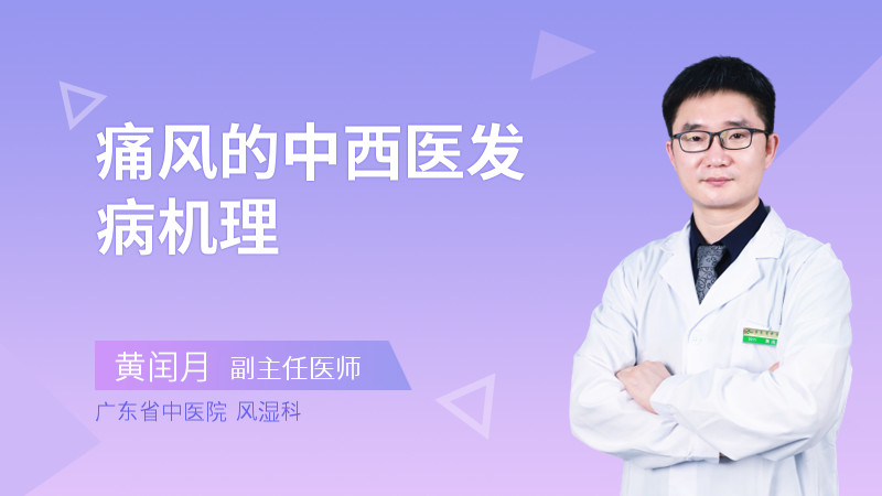 痛风的中西医发病机理