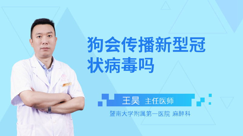 狗会传播新型冠状病毒吗