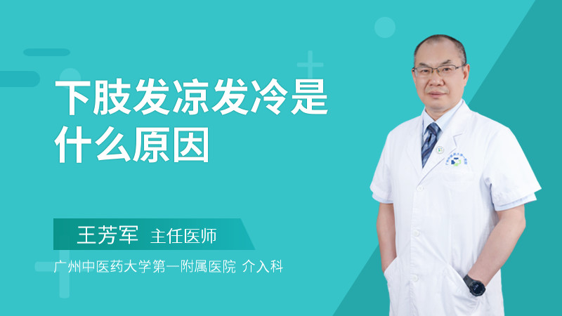 下肢发凉发冷是什么原因