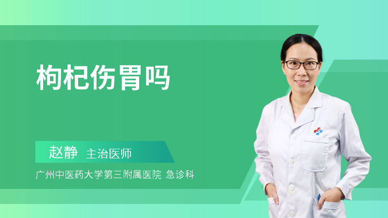 枸杞伤胃吗
