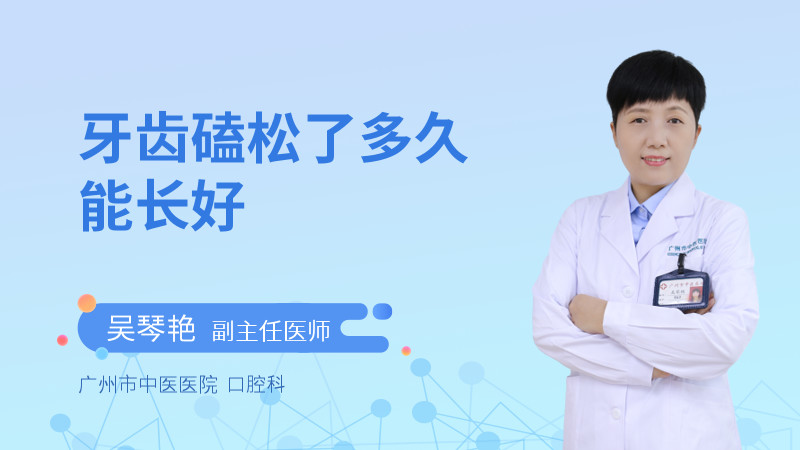 牙齿磕松了多久能长好