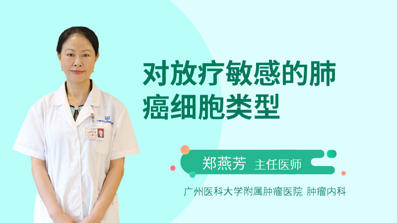 对放疗敏感的肺癌细胞类型