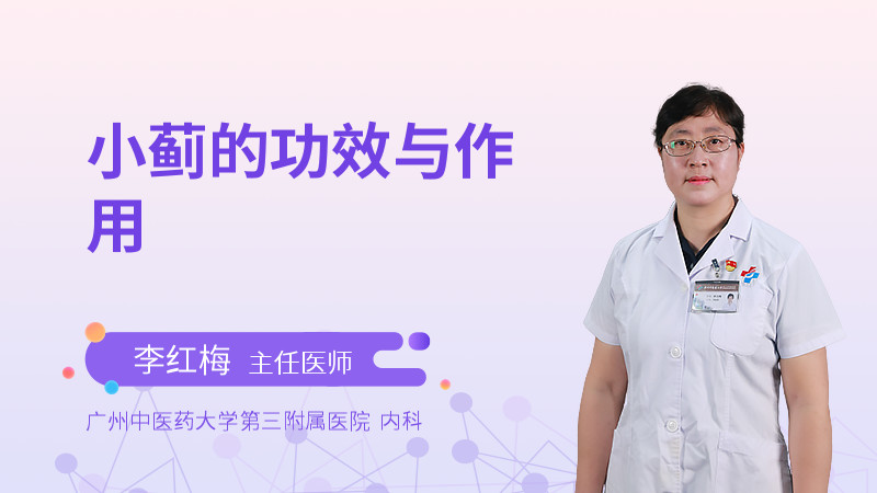 小蓟的功效与作用