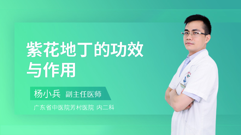 紫花地丁的功效与作用