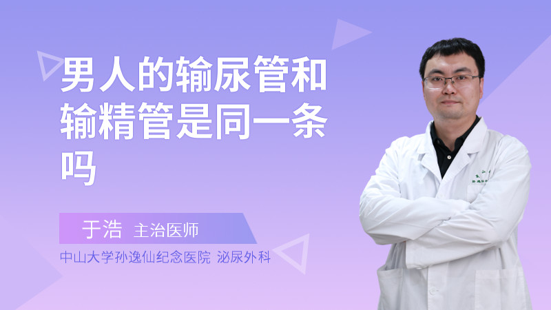 男人的输尿管和输精管是同一条吗
