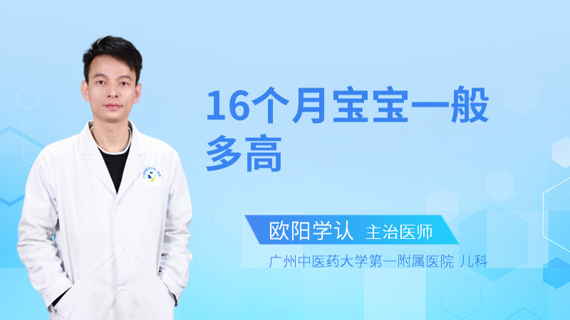 16个月宝宝一般多高