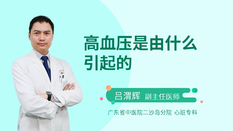 高血压是由什么引起的