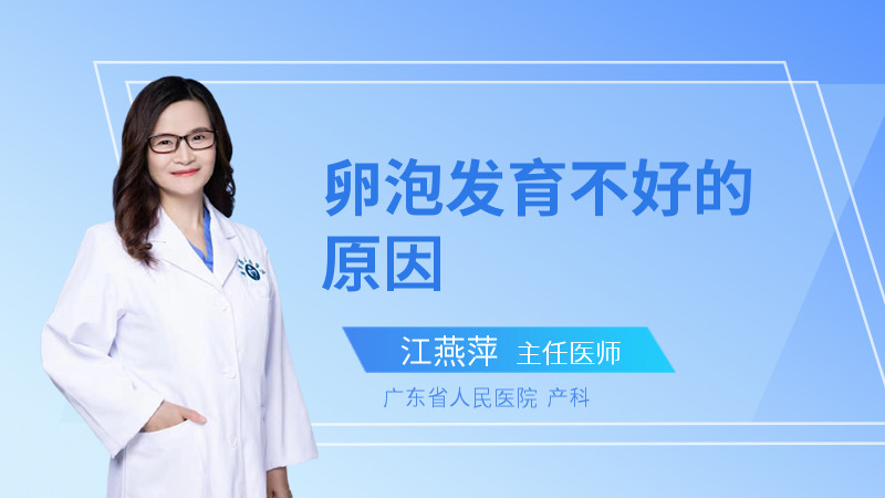 卵泡发育不好的原因
