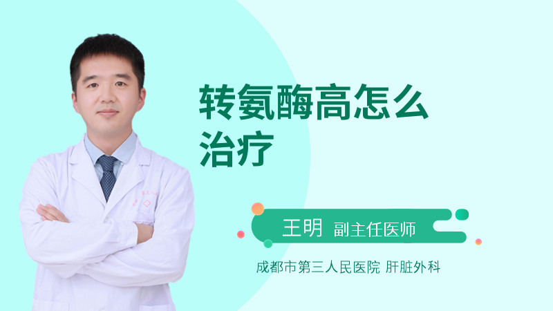 转氨酶高怎么治疗