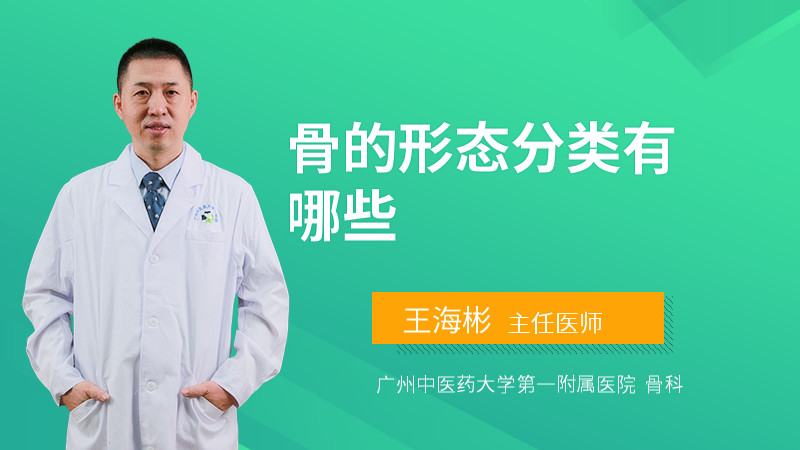 骨的形态分类有哪些