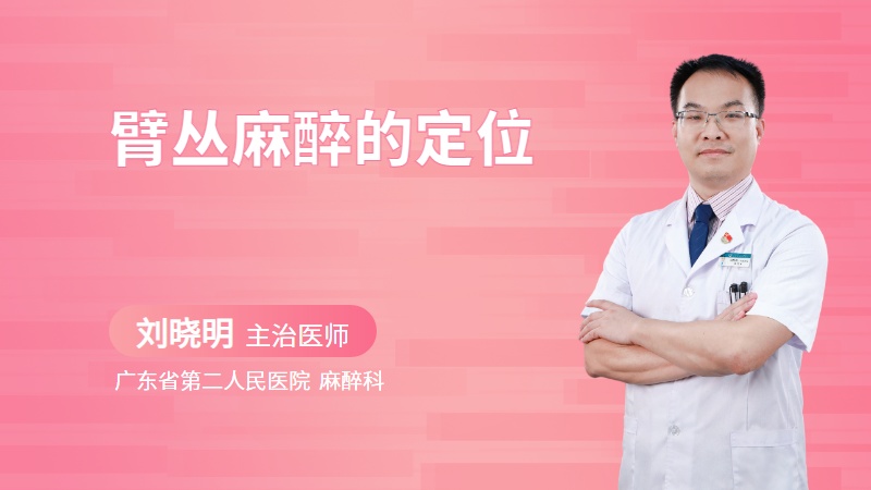 臂丛麻醉的定位