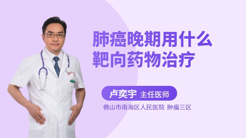 肺癌晚期用什么靶向药物治疗