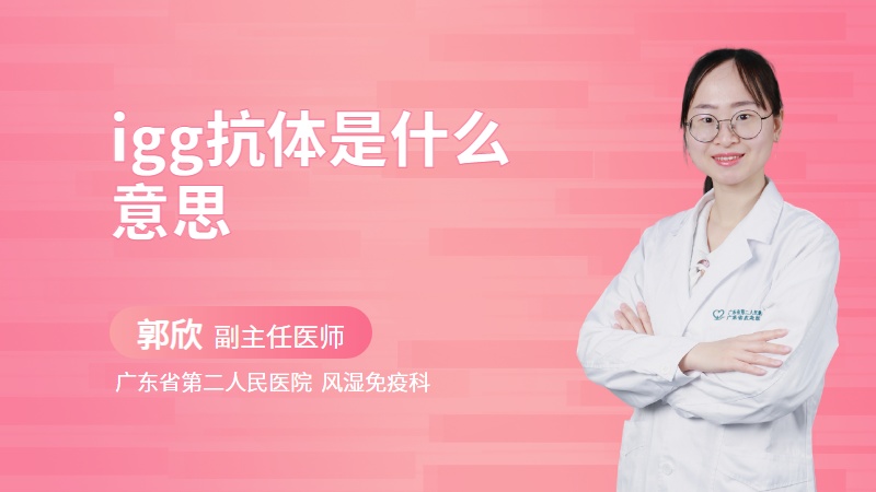 igg抗体是什么意思