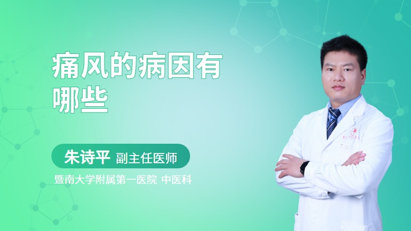 痛风的病因有哪些