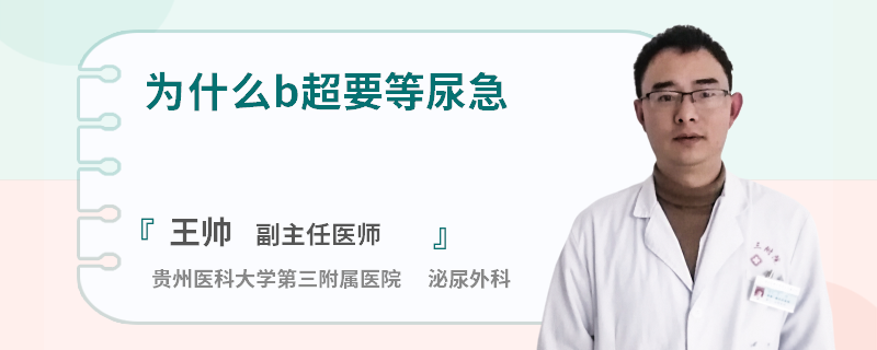 为什么b超要等尿急