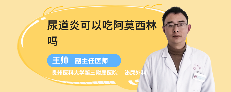 尿道炎可以吃阿莫西林吗