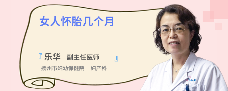 女人怀胎几个月