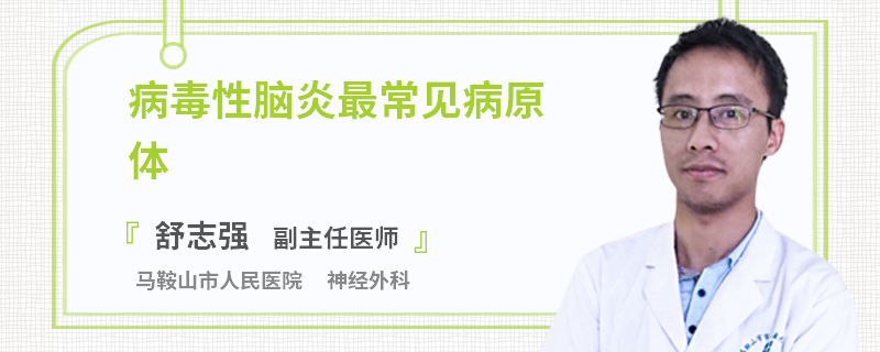 病毒性脑炎最常见病原体