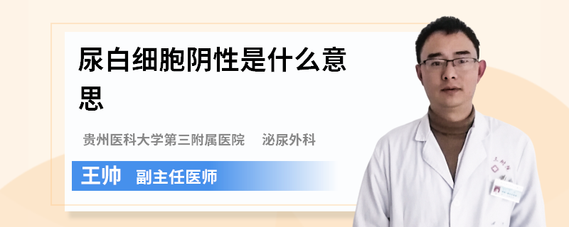 尿白细胞阴性是什么意思