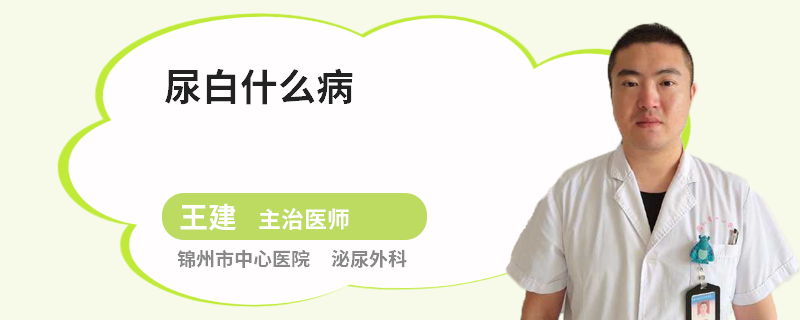 尿白什么病