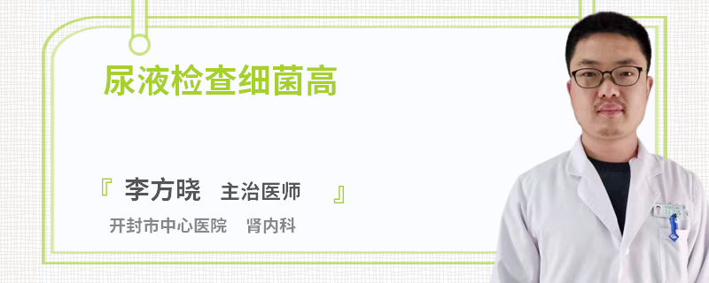 尿液检查细菌高