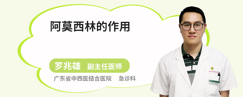 阿莫西林的作用