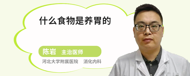 什么食物是养胃的