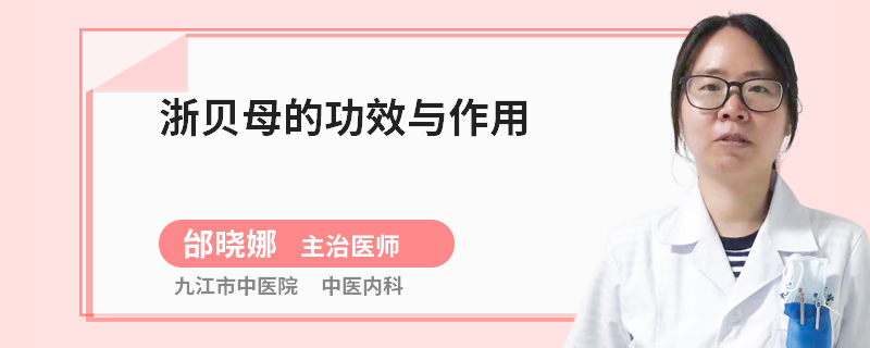 浙贝母的功效与作用