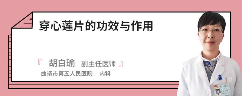 穿心莲片的功效与作用