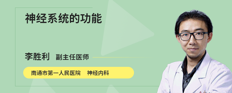 神经系统的功能