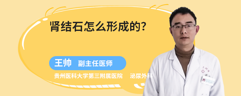 肾结石怎么形成的