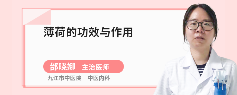 薄荷的功效与作用