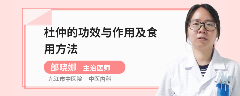 杜仲的功效与作用及食用方法