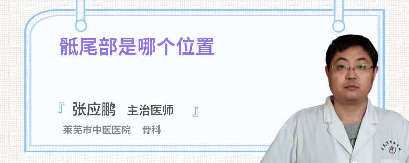 骶尾部是哪个位置