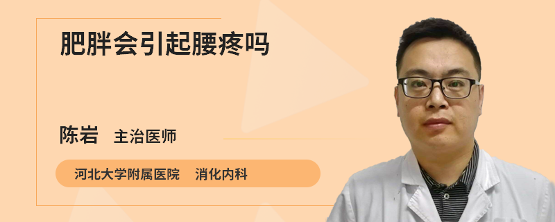 肥胖会引起腰疼吗