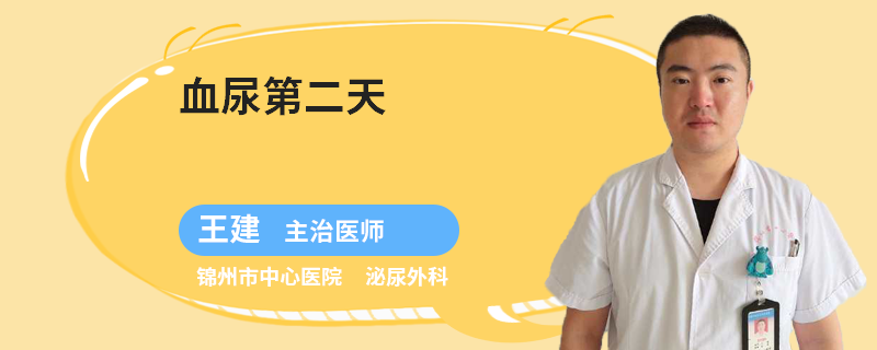 血尿第二天