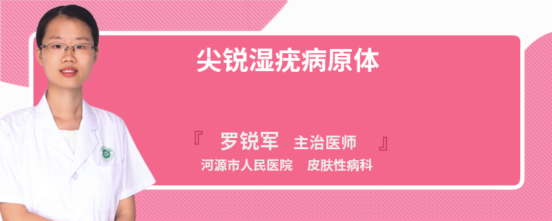 尖锐湿疣病原体