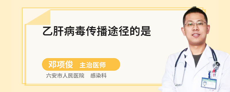 乙肝病毒传播途径的是