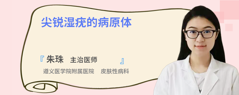 尖锐湿疣的病原体