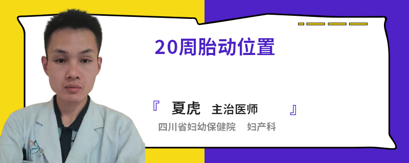 20周胎动位置