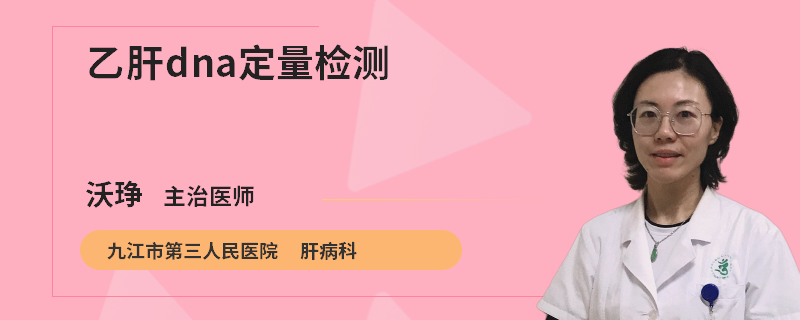 乙肝dna定量检测