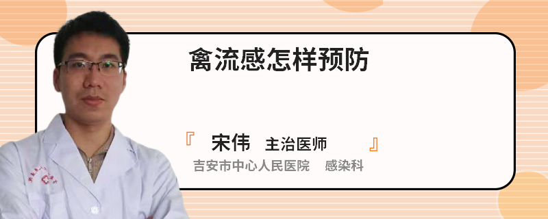 禽流感怎样预防