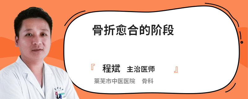 骨折愈合的阶段