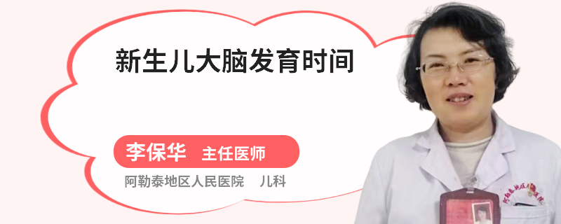 新生儿大脑发育时间